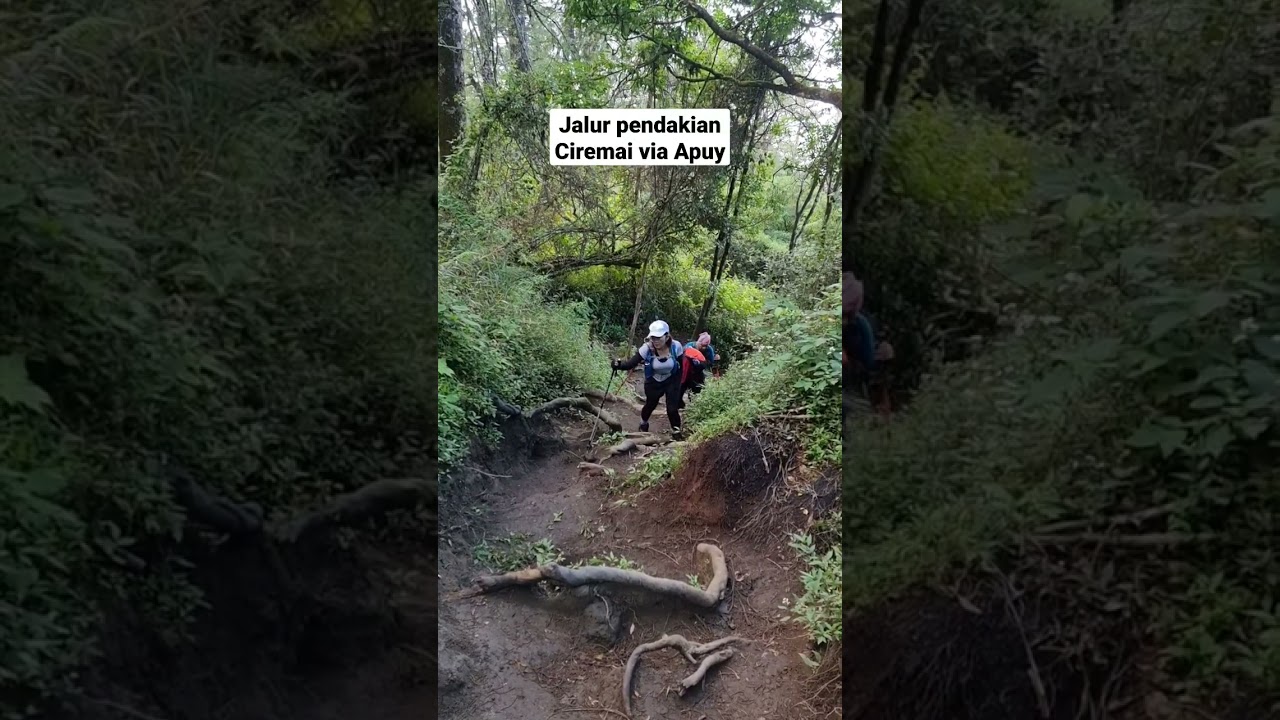 jalur pendakian Gunung Ciremai Via Apuy