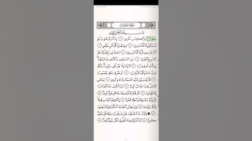 ٤٤/ ( سورة الدخان) تةفسيري قورئان بة كوردي صعدالغامدي تةفسير هندرين sura alduxan kurdi