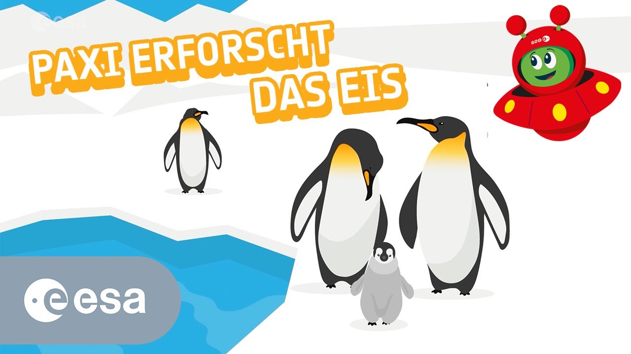 Paxi erforscht das Eis