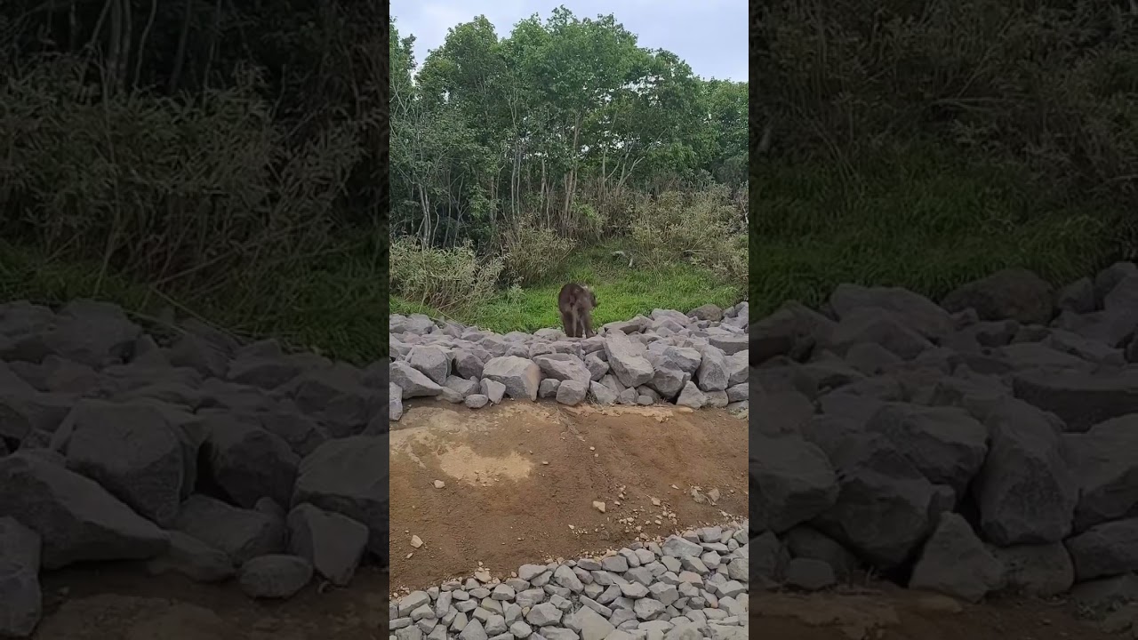 Почему не стоит ехать на Итуруп «дикарем»?