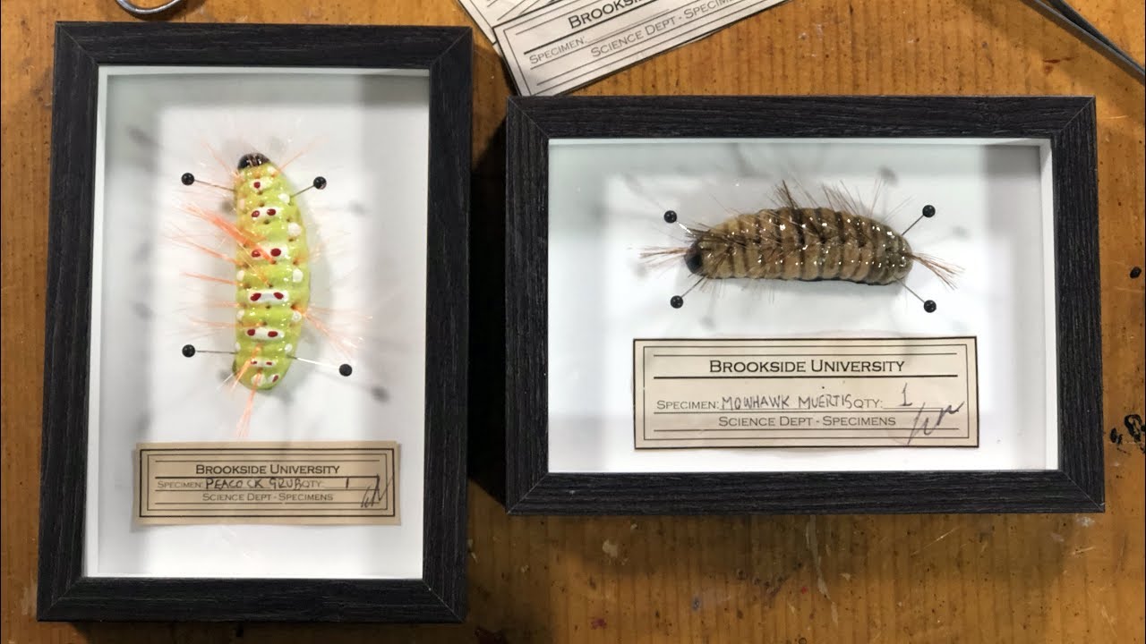 Creepy Caterpillars - Easy DIY Grubs and Maggots
