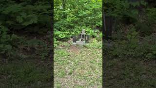 When a bubbly can gets shot with a BB gun
