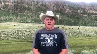 Why Black Hereford Cattle - Video 5