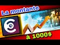 La montante  1000  en 1h sur coinryze  cryptocurrency usdt