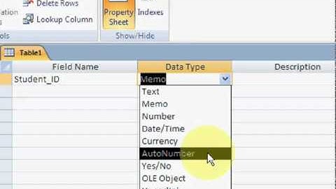 MS Access 2007 Part2   Urdu Tutorial by NaQeeb