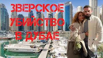 Зверское убийство в Дубае Романа и Анны Новак