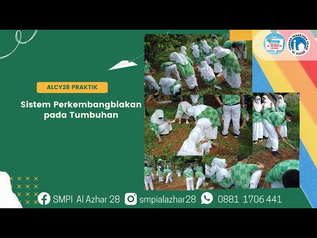 Alcy28_Praktik IPA Kelas 9-Sistem Perkembangbiakan pada Tumbuhan