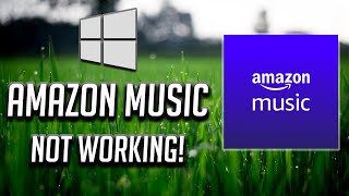 Amazon Music App Not Working Fix In Windows 10- [2024] screenshot 4