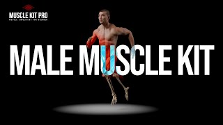 Blender | Male Muscle Kit Demo Reel