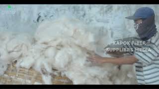 The Journey of Nature Fiber Processing | Kapok Fiber #kapokfiber #exportbusiness #ecofriendly