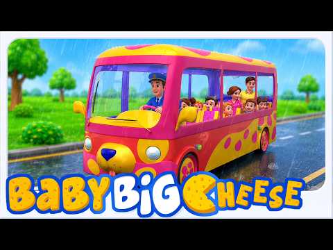 Baby Big Cheese - Otobüsün Tekerlekleri | Küçük Çocuklar Için Kara Taşıtlarını Öğrenin