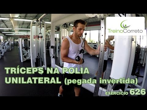 Sumô Pegada Reta Unilateral Bíceps Costas Tríceps Academia