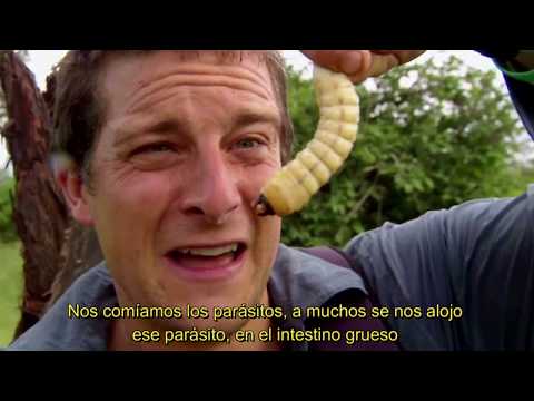 La Última Luna: 5