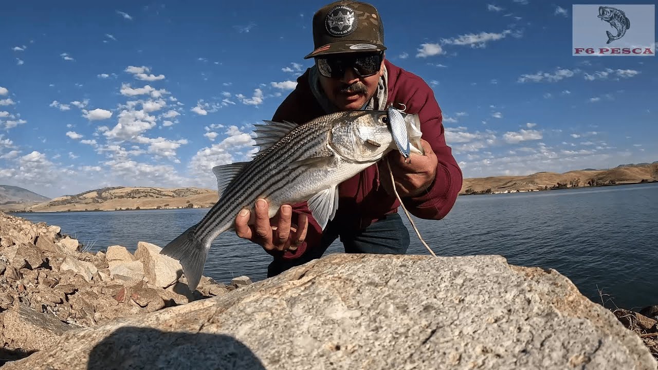 Fishing Striped Boils at Quail Lake YouTube