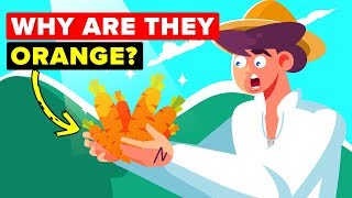 Why Are Carrots Orange? It's Actually Politics