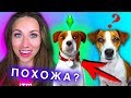 СДЕЛАЛА ДЖИНУ в СИМС 3 ПИТОМЦЫ ФАКТЫ О МОЕЙ СОБАКЕ ИГРАЕМ | Elli Di Pets