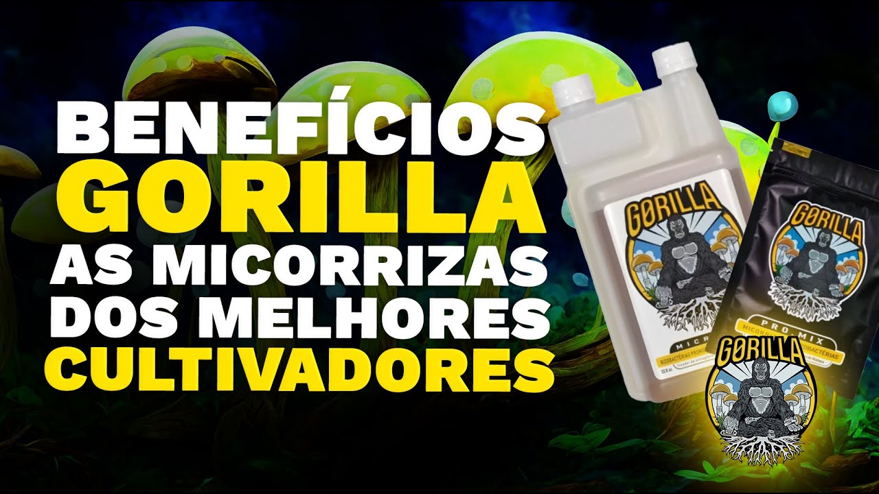 PARA BOMBAR SUAS PLANTAS: COMO E QUANDO USAR GORILLA MICROBES E AS MICORRIZAS??? CULTIVO BIOLÓGICO