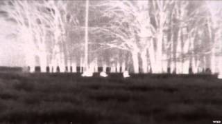 Predator Pursuit With Jeff Thomason - Texas Hogs