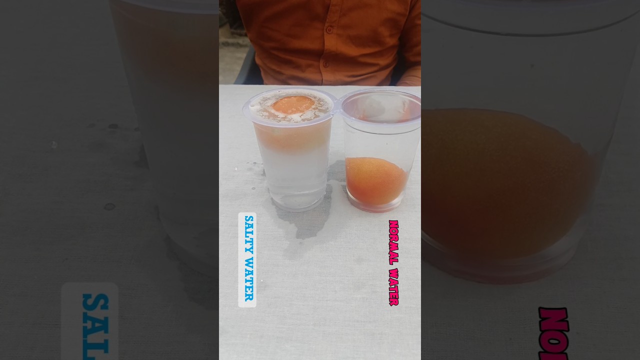 Namkeen Pani Me Tamatar Tairta Hai 😲 | Density Experiment 