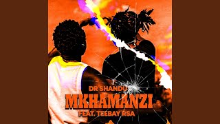 Mkhamanzi