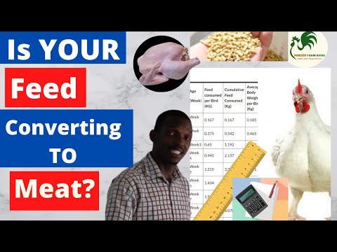 How To Estimate Feed Conversion Ratio(FCR Feed Consumption of Broilers and Broiler Weight Gain