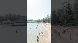 is manly beach better than Bondi beach?