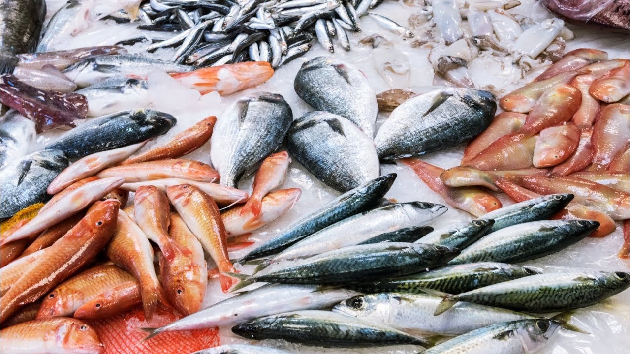 Welche Fische kann ich wann guten Gewissens kaufen? | Miomente