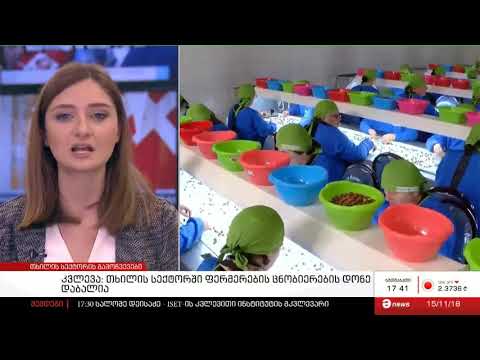 თხილის სექტორში ფერმერების ცნობიერების დონე დაბალია