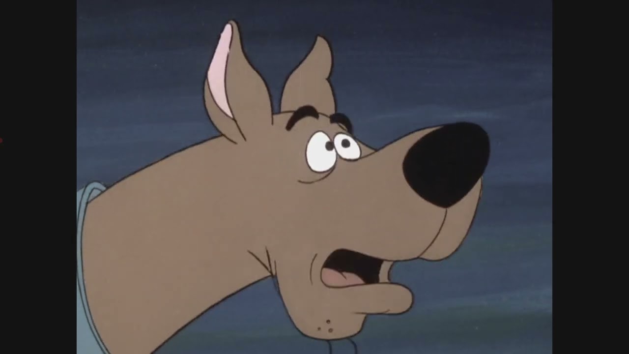 Scooby doo where are you Decoy for a Dognapper pt3