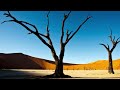 Alone in the Crowd (Sola inter Homamaso)