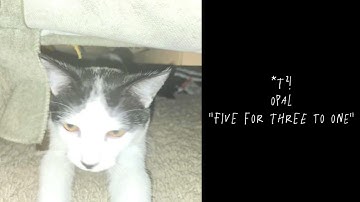 *T²! - Five for Three to One