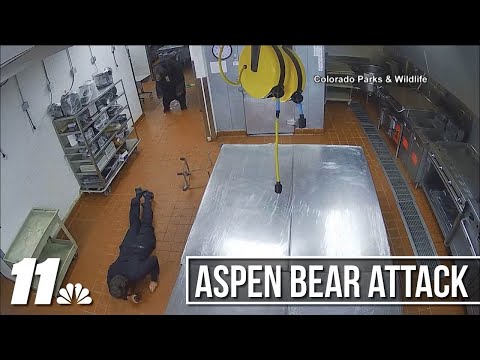 Video captures bear encounter at Aspen hotel