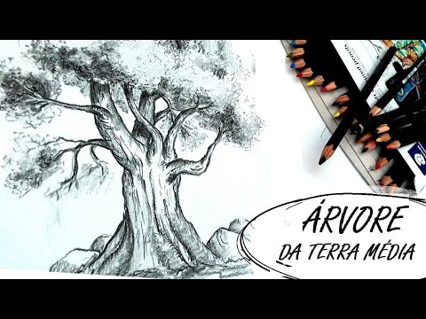A GRANDE OLIVEIRA! Como DESENHAR ÁRVORE ANTIGA! TRONCO RETORCIDO, GALHOS  e a COPA! Lápis de cor!