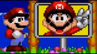 Mario in Sonic 2 Absolute