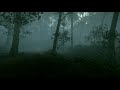 Battlefield 1│ASMR/Sleep Aid│Foggy Road│Ambient Sounds