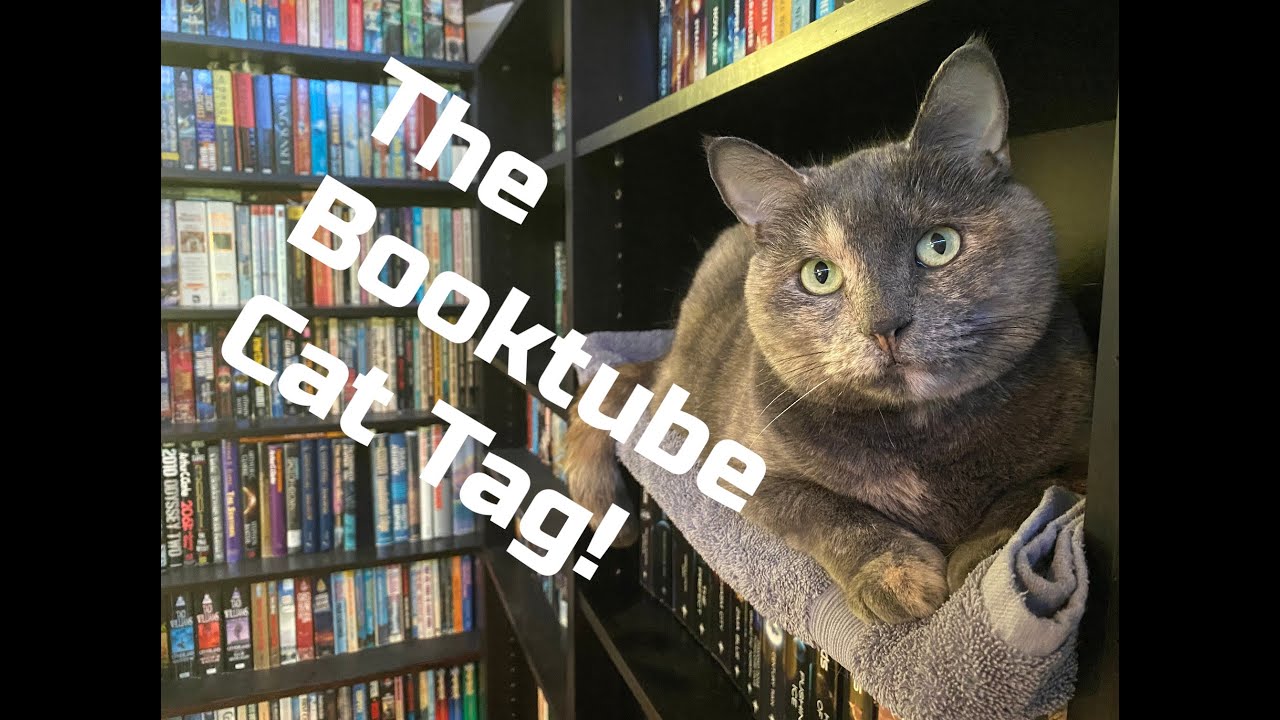 The Booktube Cat Tag YouTube The Booktube Cat Tag YouTube