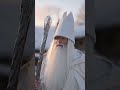 Гендальф на обходе.#гендальф #властелинколец #шир#funny