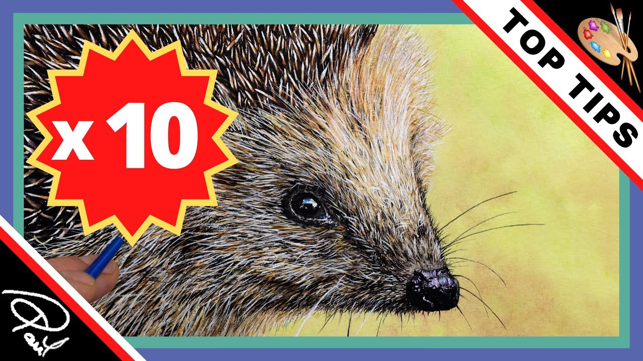 HEDGEHOG PAINTING TIPS (10 Realistic Wildlife Art Tips) YouTube