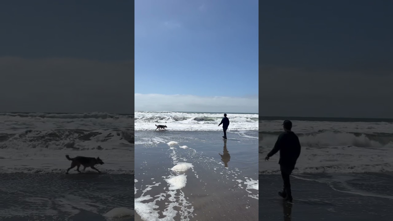 Tiki LOVES the ocean 