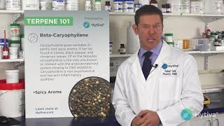 Caryophyllene