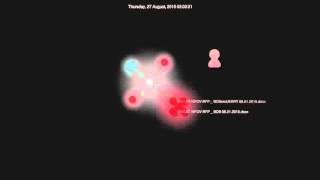 Phase 4 SVN Server Visualization