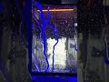 Quick quack car wash inside view