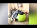 Abenezer Funny Video Abenezer Funny Video