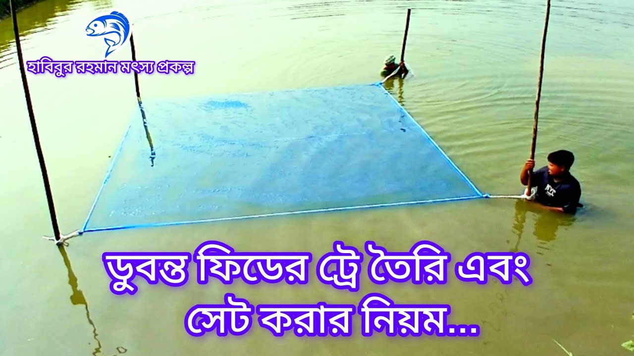 ৩৮৮.. ডুবন্ত ফিডের ট্রে তৈরি এবং কিভাবে এটা পুকুরে সেট করবেন....?