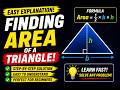How to Solve Area of a Triangle Questions | Step-by-Step Geometry Tutorial
