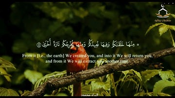 تلاوة عذبة من سورة طه  قَالَ لَا تَخَافَا ۖ إِنَّنِي مَعَكُمَا أسْمَعُ وَأرَىٰ   الشيخ رعد الكردي