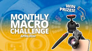 Macro Photography Challenge [April 2022]