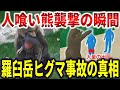 羅臼岳ヒグマ事故の真相【ゆっくり解説】