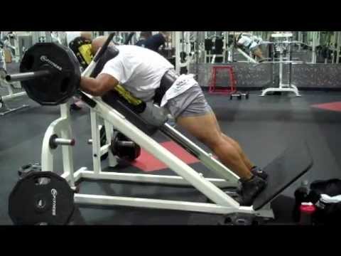 Quads and Hams using a Hack Squat
