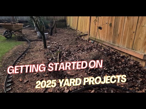 Getting started on 2025 Projects in the Yard - YouTube